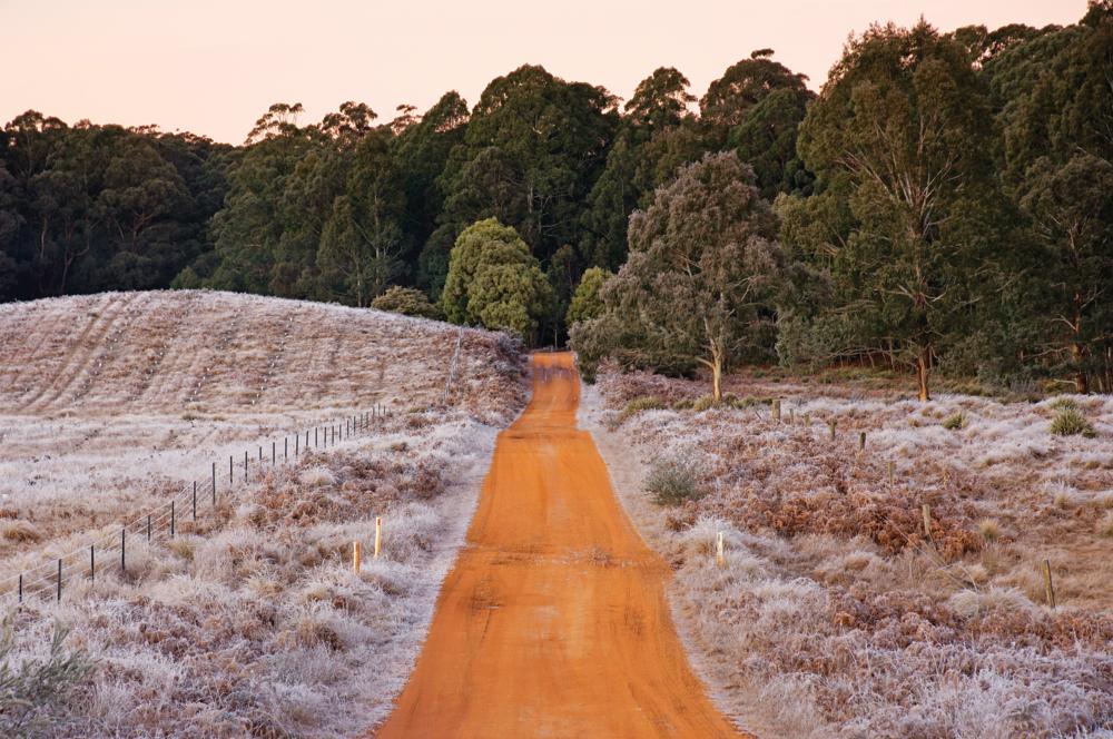 The real cost of frost for NSW farmers